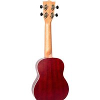 Flight NUS380 Coral Image #2