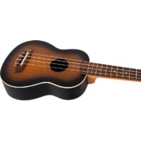 Flight NUS380 Amber Image #4