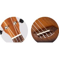 Flight NUS380 Amber Image #6