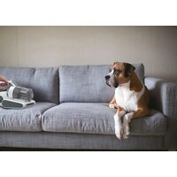 Пылесос для удаления пылевых клещей Hoover HMC510UV 011 - Превью изображения №10 — Интернет-магазин Teono.by