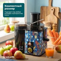 Соковыжималка Scarlett SC-JE50S66 - Превью изображения №15 — Интернет-магазин Teono.by