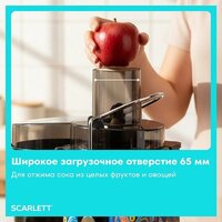 Соковыжималка Scarlett SC-JE50S66 - Превью изображения №7 — Интернет-магазин Teono.by