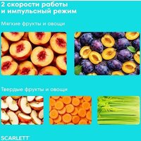 Соковыжималка Scarlett SC-JE50S66 - Превью изображения №8 — Интернет-магазин Teono.by