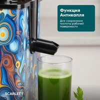 Соковыжималка Scarlett SC-JE50S66 - Превью изображения №10 — Интернет-магазин Teono.by