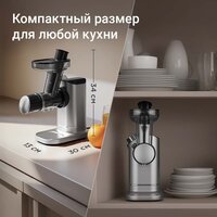 Соковыжималка Redmond (Редмонд) J1420 - Превью изображения №6 — Интернет-магазин Teono.by