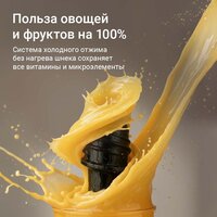 Соковыжималка Redmond (Редмонд) J1420 - Превью изображения №10 — Интернет-магазин Teono.by