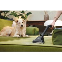 Пылесос Hoover TXL80PET 011 - Превью изображения №4 — Интернет-магазин Teono.by