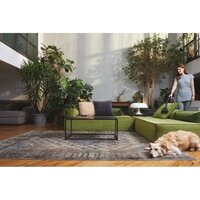 Пылесос Hoover TXL80PET 011 - Превью изображения №3 — Интернет-магазин Teono.by