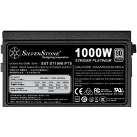 SilverStone ST1000-PTS Image #5