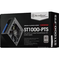 SilverStone ST1000-PTS Image #18