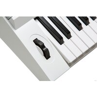 Синтезатор Kurzweil KP110 (белый) - Превью изображения №9 — Интернет-магазин Teono.by