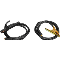 Сварочный инвертор Сварог REAL ARC 220 (Z243N) - Превью изображения №6 — Интернет-магазин Teono.by