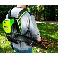 Greenworks GD60BPB (без АКБ) Image #12