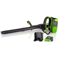 Greenworks GD60BPB (без АКБ) Image #3