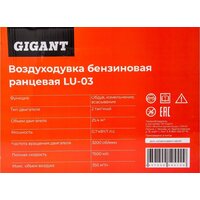 Садовая воздуходувка Gigant LU-03 - Превью изображения №19 — Интернет-магазин Teono.by