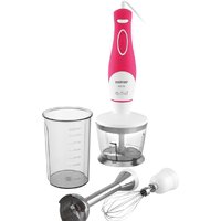 Zelmer ZHB1004P [HB1004P]