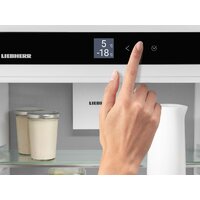Холодильник Liebherr ICBNSd 5623 Plus BioFresh NoFrost - Превью изображения №4 — Интернет-магазин Teono.by