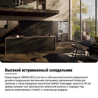 Холодильник Liebherr ICBNSd 5623 Plus BioFresh NoFrost - Превью изображения №22 — Интернет-магазин Teono.by