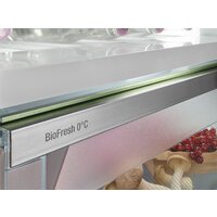 Холодильник Liebherr ICBNSd 5623 Plus BioFresh NoFrost - Превью изображения №14 — Интернет-магазин Teono.by