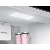 Холодильник Liebherr ICBNSd 5623 Plus BioFresh NoFrost - Превью изображения №5 — Интернет-магазин Teono.by