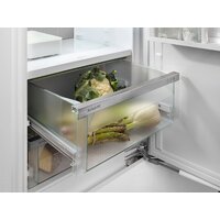 Холодильник Liebherr ICBNSd 5623 Plus BioFresh NoFrost - Превью изображения №15 — Интернет-магазин Teono.by