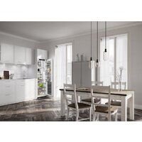 Однокамерный холодильник Liebherr IRBdi 5181 Peak BioFresh - Превью изображения №4 — Интернет-магазин Teono.by