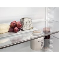 Холодильник Liebherr ICNSd 5603 Pure NoFrost - Превью изображения №11 — Интернет-магазин Teono.by