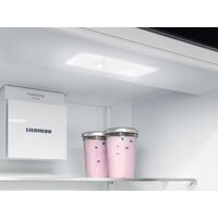 Холодильник Liebherr ICNSd 5603 Pure NoFrost - Превью изображения №5 — Интернет-магазин Teono.by