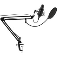 Проводной микрофон Ritmix RDM-180 - Превью изображения №2 — Интернет-магазин Teono.by
