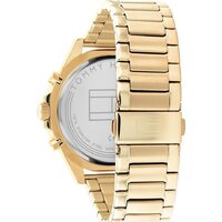 Tommy Hilfiger 1791919 Image #3