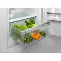 Холодильник Liebherr ICNd 5603 Pure NoFrost - Превью изображения №15 — Интернет-магазин Teono.by