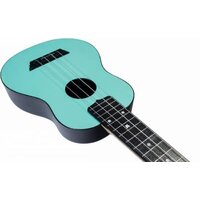 Flight TUS35 LB Image #5