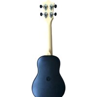 Flight TUS35 LB Image #3