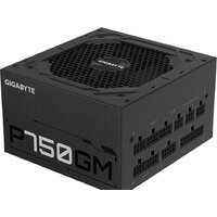Блок питания Gigabyte P750GM - Превью изображения №2 — Интернет-магазин Teono.by