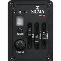 Sigma Guitars DME Image #6