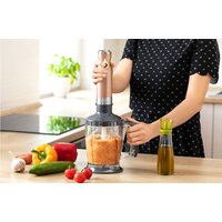 Sencor SHB 5606GD Image #19