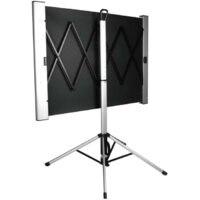 Проекционный экран CACTUS TriAlExpert 102x180 CS-PSTALE-180X102 - Превью изображения №2 — Интернет-магазин Teono.by