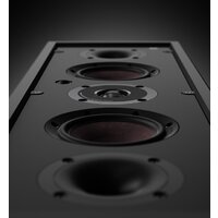 DALI Phantom M-250 Image #6