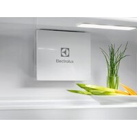 Однокамерный холодильник Electrolux Seria 600 KRD6DE18S1 - Превью изображения №7 — Интернет-магазин Teono.by