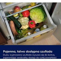 Однокамерный холодильник Electrolux Seria 600 KRD6DE18S1 - Превью изображения №5 — Интернет-магазин Teono.by