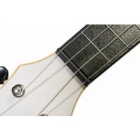 Flight TUS35 WH Image #6