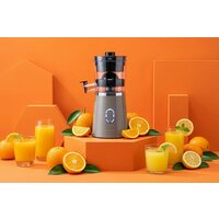 Соковыжималка Goetze & Jensen CJ400T - Превью изображения №6 — Интернет-магазин Teono.by