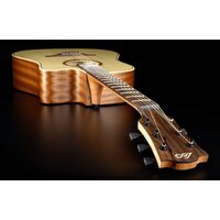 LAG Tramontane 70 T70DCE Image #4