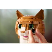 LEGO Ideas 21376 Рыжий кот Image #12