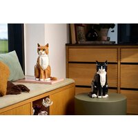 LEGO Ideas 21376 Рыжий кот Image #14