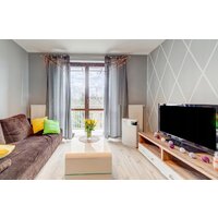 Welltec APH450D Image #6