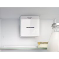 Холодильник Liebherr ICNd 5123 Plus NoFrost 5123-22001 - Превью изображения №13 — Интернет-магазин Teono.by