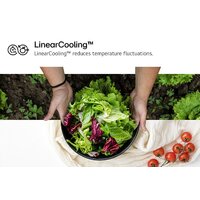 Холодильник LG DoorCooling+ GBV7280AEV - Превью изображения №12 — Интернет-магазин Teono.by
