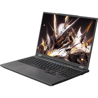 Игровой ноутбук Maibenben X-Treme Tsunami X16F X16F-R98957T0GGRLG4E10 - Превью изображения №2 — Интернет-магазин Teono.by