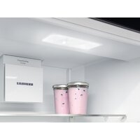 Холодильник Liebherr ICBSd 5122 Plus - Превью изображения №12 — Интернет-магазин Teono.by